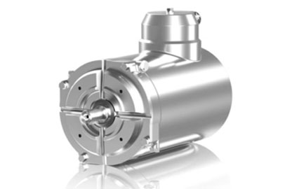 IEC Food safe stainless steel motors